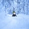 FEEDING REINDEER & SNOWMOBILING