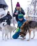 Husky Meet and Greet