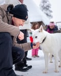 Husky Meet and Greet