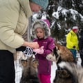 Husky Meet and Greet
