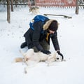Image 6 of Husky Meet and Greet