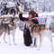Husky Meet and Greet