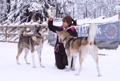 Husky Meet and Greet