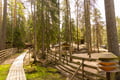 Reindeer Park visit and Buggy Adventure