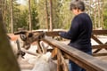Reindeer Park visit and Buggy Adventure