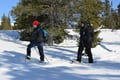SNOWSHOEING IN LEVI