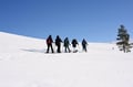 SNOWSHOEING IN LEVI
