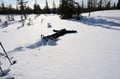 SNOWSHOEING IN LEVI
