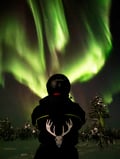 Aurora Hunting, Sleigh ride HEATED! , Levi