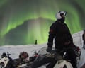 Searching for the Auroras
