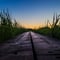 Rovaniemi photography tour (Summer)