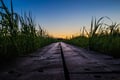 Rovaniemi photography tour (Summer)