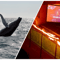 Whale Watching & Lava Show Reykjavik: Nature's Breathtaking Spectacle