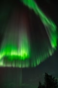 Northern Lights Photography Hunting Experience in Rovaniemi