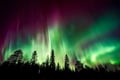 Northern Lights Photography Hunting Experience in Rovaniemi