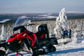 Half-day Snowmobile Safari with Lunch