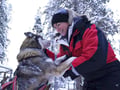 Husky Kennel Visit & Cuddle with Huskies, Levi