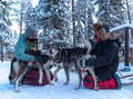 Husky Kennel Visit & Cuddle with Huskies, Levi