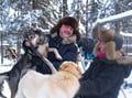 Husky Kennel Visit & Cuddle with Huskies, Levi