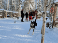 Husky Kennel Visit & Cuddle with Huskies, Levi