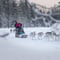 10KM HUSKY SLED SAFARI DRIVING YOUR OWN SLED (60MIN)