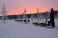 HUSKY FARM VISIT + 6Km SLEIGH SAFARI (30min)