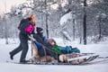10KM HUSKY SLED SAFARI DRIVING YOUR OWN SLED (60MIN)