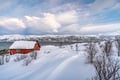 Private Arctic Fjords Tour & Sommarøy Islands (Half-day trip)