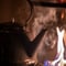 Finnish Evening by the campfire
