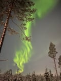 Finnish Evening by the campfire
