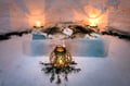 Exotic night in a snow igloo