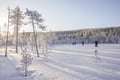 All Day Ski Experience in Lapland