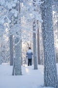 All Day Ski Experience in Lapland