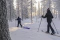 All Day Ski Experience in Lapland