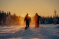 All Day Ski Experience in Lapland