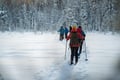All Day Ski Experience in Lapland