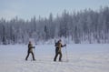 Backcountry Ski Adventure in Lapland (Beginner)