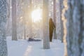 All Day Ski Experience in Lapland
