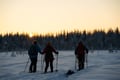 All Day Ski Experience in Lapland