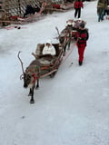 Rovaniemi Private Highlights Experience: Santa Village & Arktikum