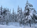 Rovaniemi Private Highlights Experience: Santa Village & Arktikum