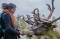 Reindeer & Husky Tour in Summer / Autumn