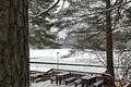 Traditional Smoke Sauna Experience and National Park Visit