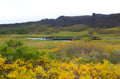 Reykjanes Peninsula Tour with Total Solar Eclipse 2026 from Reykjavík
