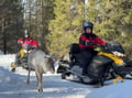 Snowmobile Safari to Reindeer Farm, Levi — authentic local experience
