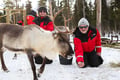 Snowmobile Safari to Reindeer Farm, Levi — authentic local experience