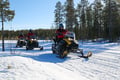 Snowmobile Safari to Reindeer Farm, Levi — authentic local experience