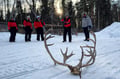 Snowmobile Safari to Reindeer Farm, Levi — authentic local experience