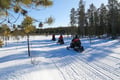 Snowmobile Safari to Reindeer Farm, Levi — authentic local experience