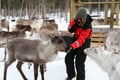 Snowmobile Safari to Reindeer Farm, Levi — authentic local experience